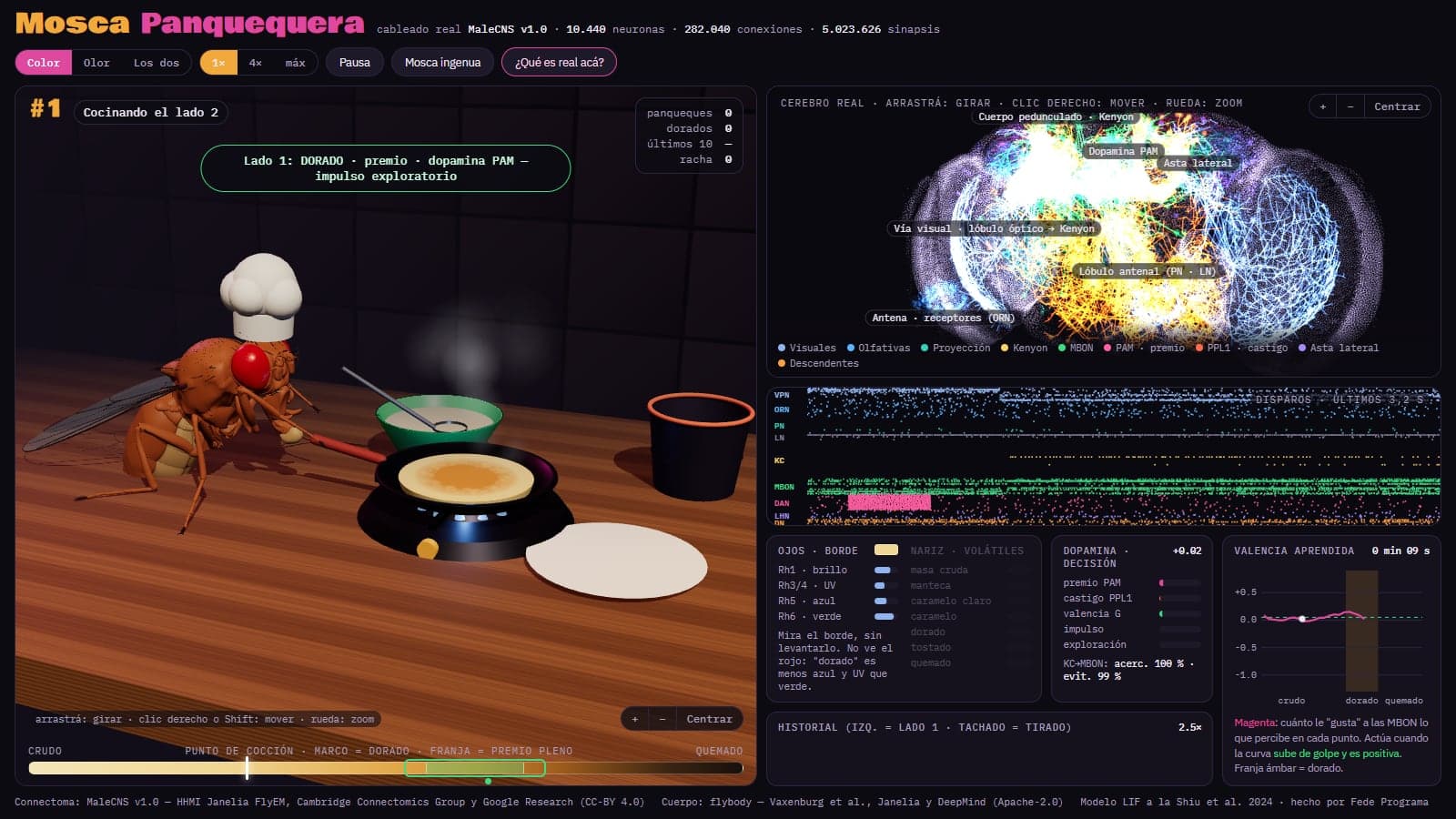 La app funcionando: la cocina en 3D a la izquierda y el cerebro de la mosca encendido a la derecha